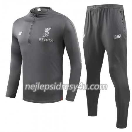 Liverpool Tréninkový Mikina Soupravy Šedá 2018/19